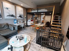 客厅
