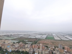 IMG_20240424_133751