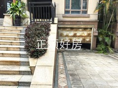 IMG_20240528_142852