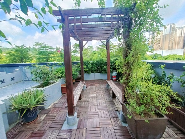 小花园