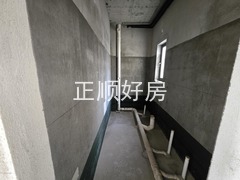 20250228_163910