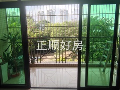 IMG_20240718_093132