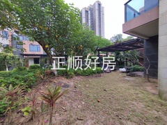 IMG_20241125_133650