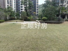 tmpimage