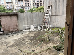 IMG_20240528_143452