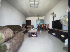 IMG_20250210_114902