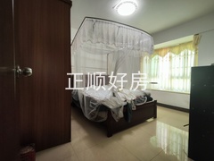 IMG_20250210_115002