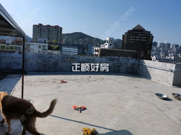 tmpimage.jpgtmpimage