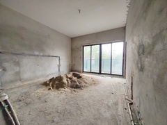 IMG_20241125_132812