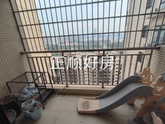 微信图片_202412242108554