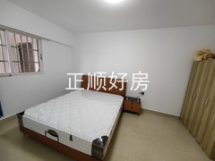 IMG_20250405_164634