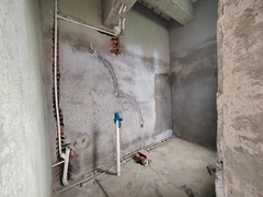 IMG_20241125_132744