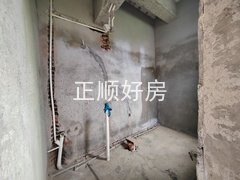 IMG_20241125_132744