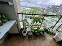 阳台