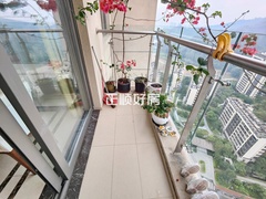 阳台