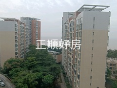 外景