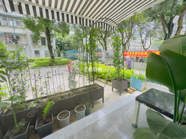VR看房