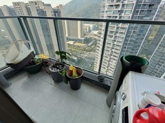 阳台