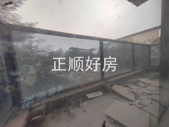 IMG_20241125_132834