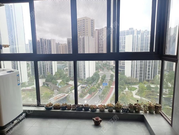 微信图片_20240218170835