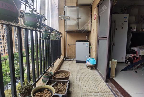 室内图11