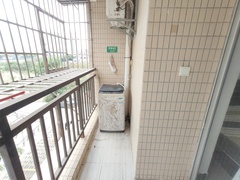 IMG_20240318_194911