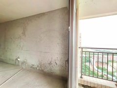 微信图片_20240731165557