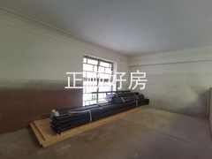 103房-客厅上面的隔层