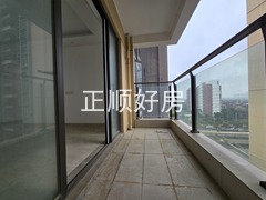 20241119_105529