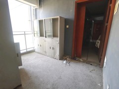 入户花园