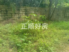 tmpimage