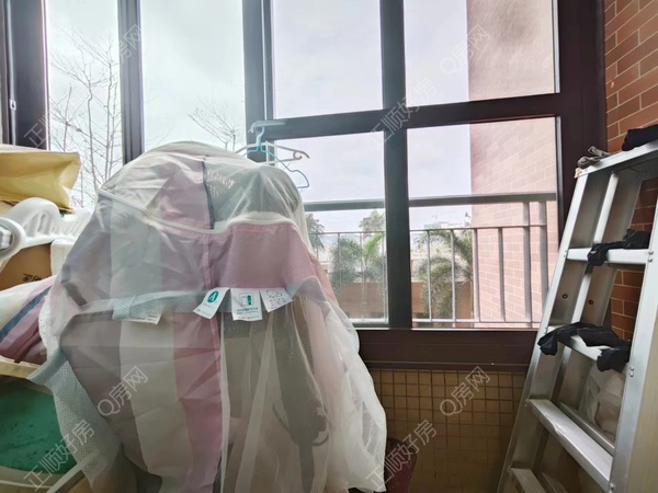 微信图片_20240325102949