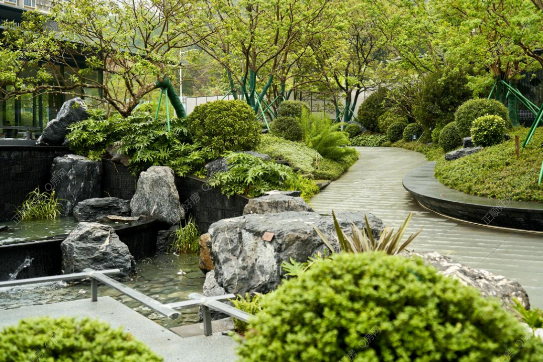 实景图