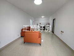 IMG_20250405_164828