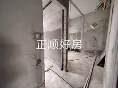 IMG_20241125_132701