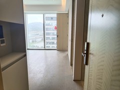 大门