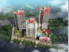 忠信海畔湾居鸟瞰图6716