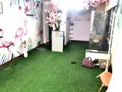主卧