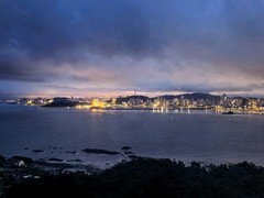 南大阳台景