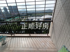 IMG_20231112_102711