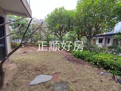 IMG_20241125_133630
