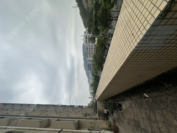 mmexport1761987504407