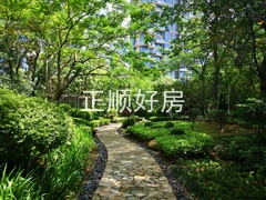 园林7