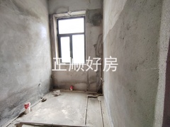 IMG_20241125_132708