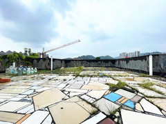 楼顶天台（新做的防水隔热）
