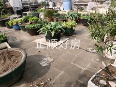 平台
