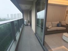IMG20250604153446