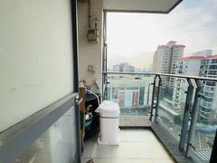 微信图片_20241122185136