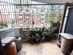 微信图片_2025-07-26_164037_132