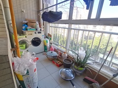 微信图片_20241220144908